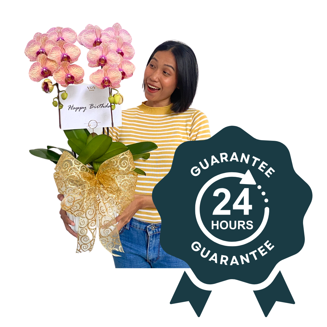 24