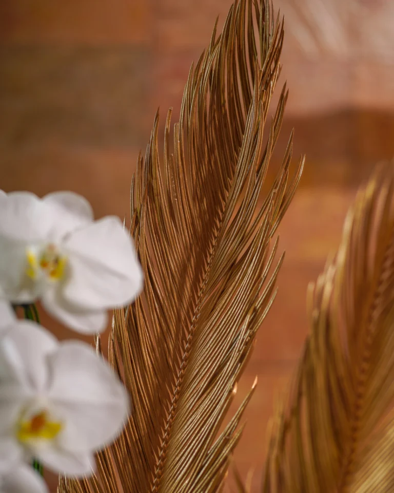 Majorelle-9