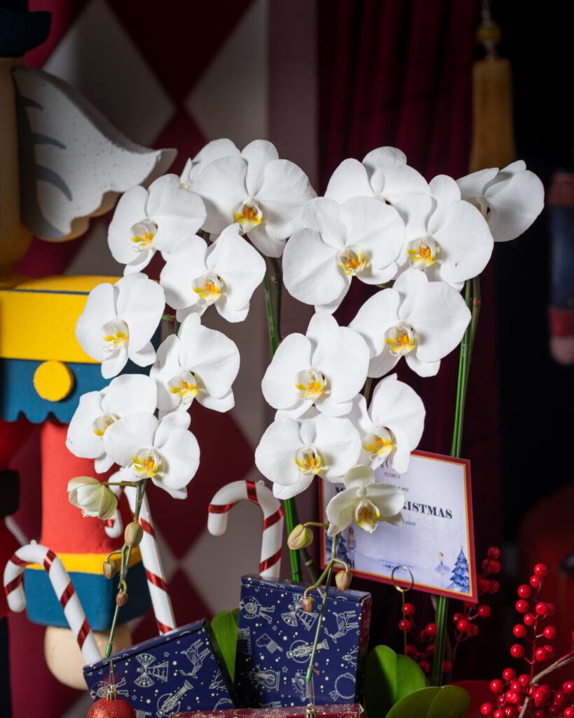 La Grandeur de Noël – Christmas Hampers 2025