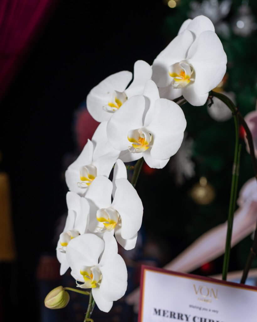 La Grandeur de Noël – Christmas Hampers 2025