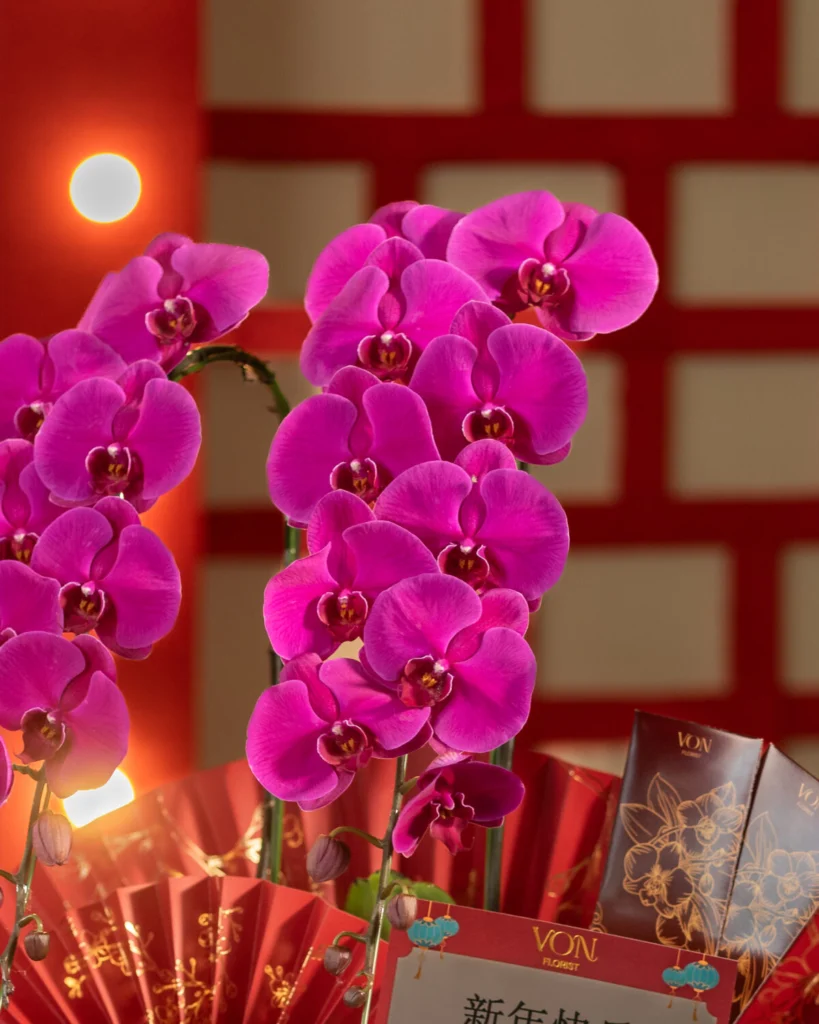兰花 Lán Huā 2026 – CNY Hampers