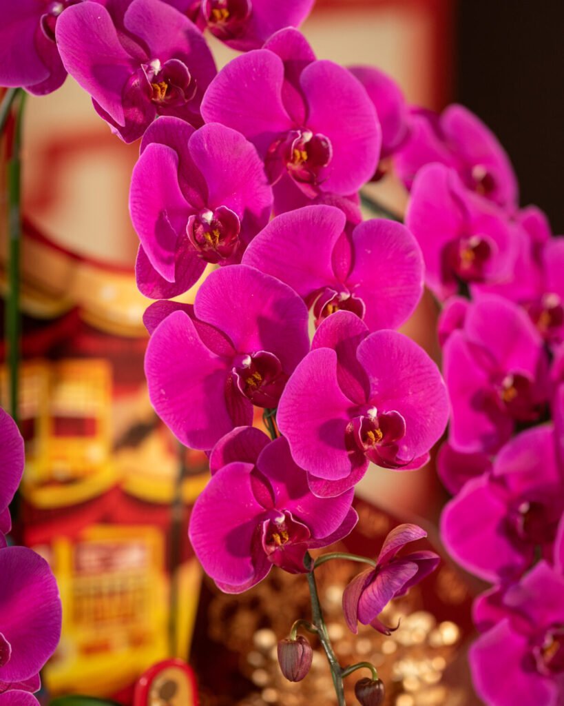 兰花 Lán Huā 2026 – CNY Hampers